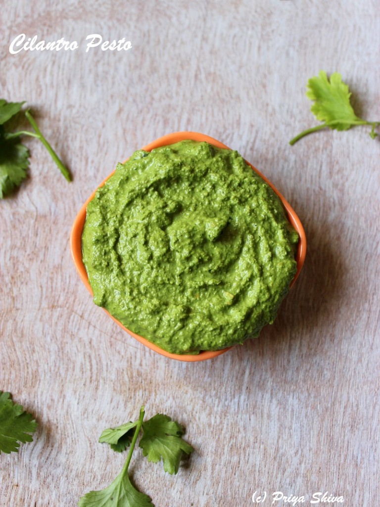 Cilantro Pesto Recipe - PRIYA KITCHENETTE