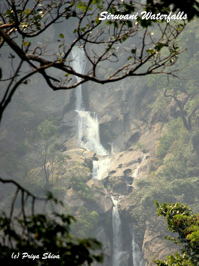 siruvani waterfalls