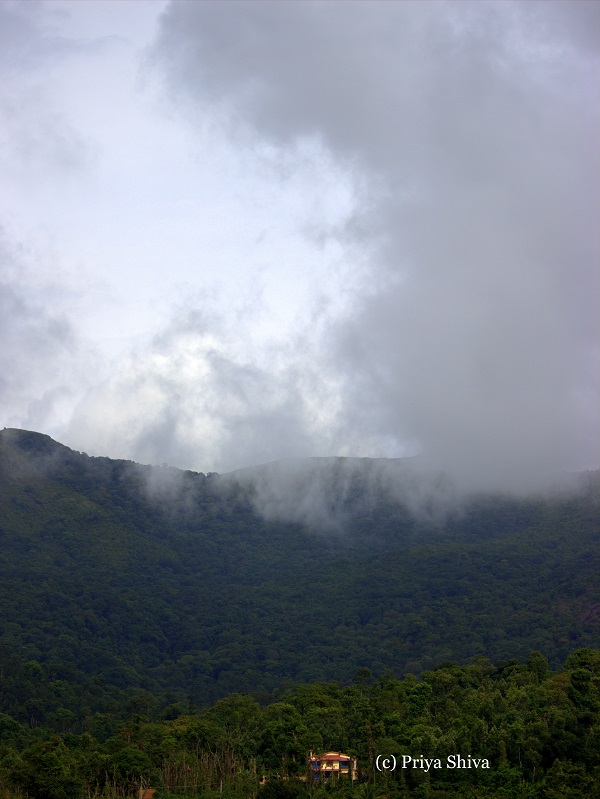 South Coorg