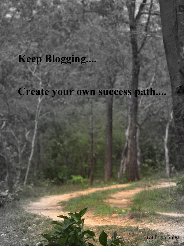 create your own success path