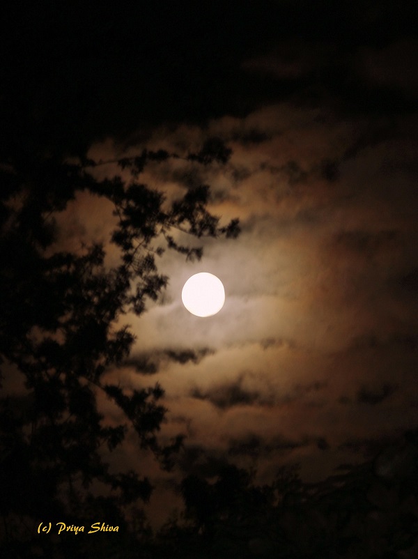 full-moon