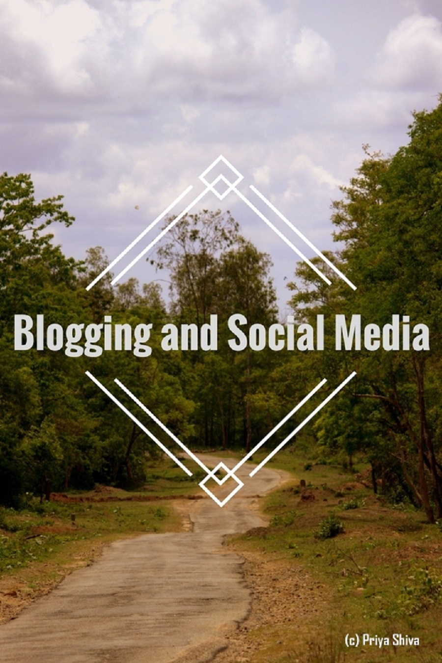 blogging and social media