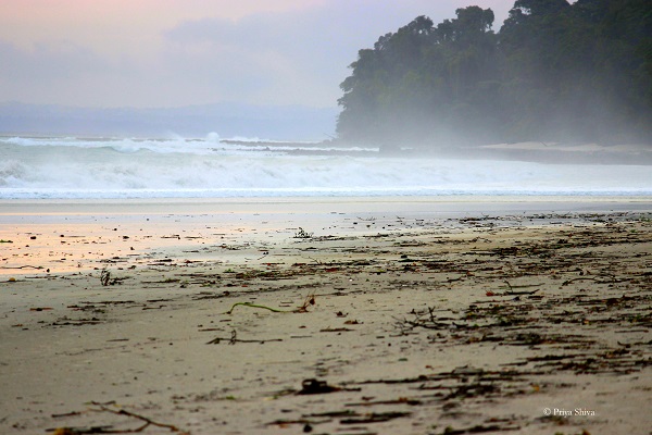 radhanagar beach Havelock island