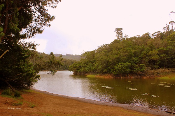 berijam lake and forest