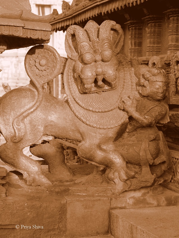 Hoysala dynasty emblem