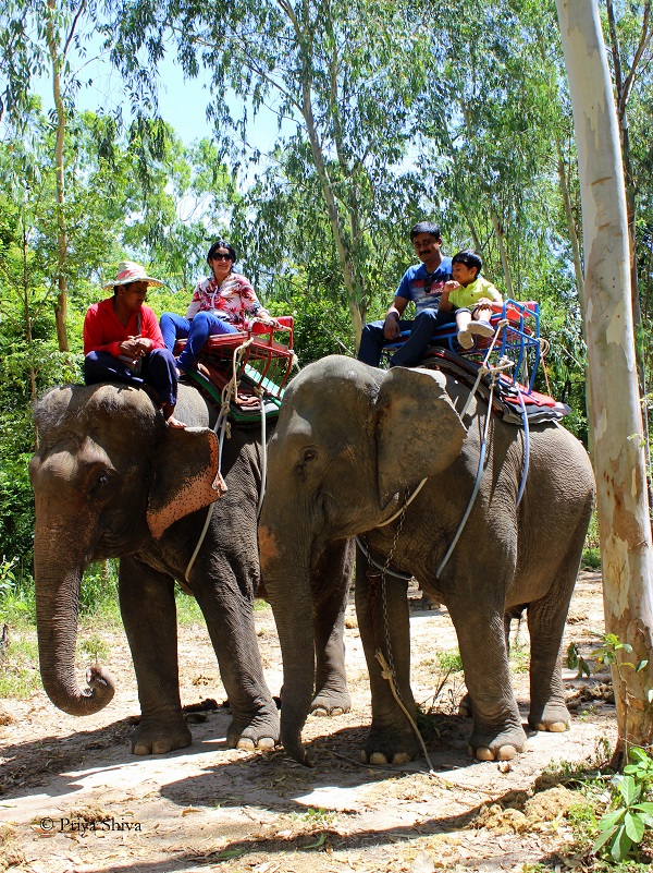 Thapparaya safari Pattaya