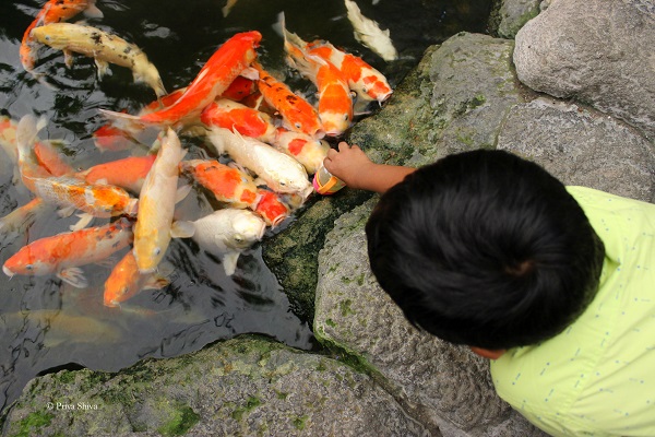 Underwater world Pattaya