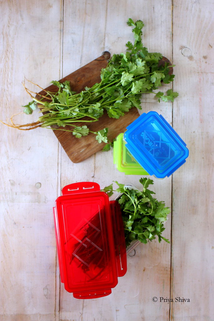 How To store coriander leaves