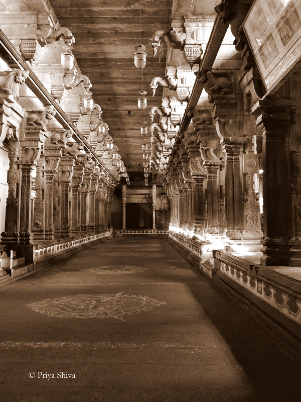 nataraja temple chidambaram