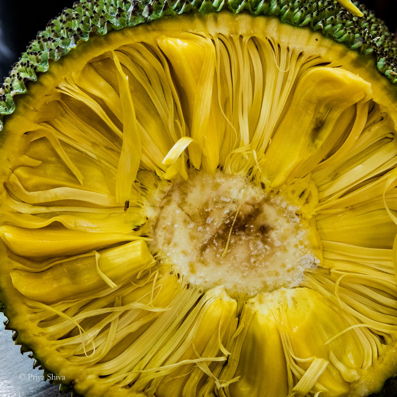 cut jackfruit